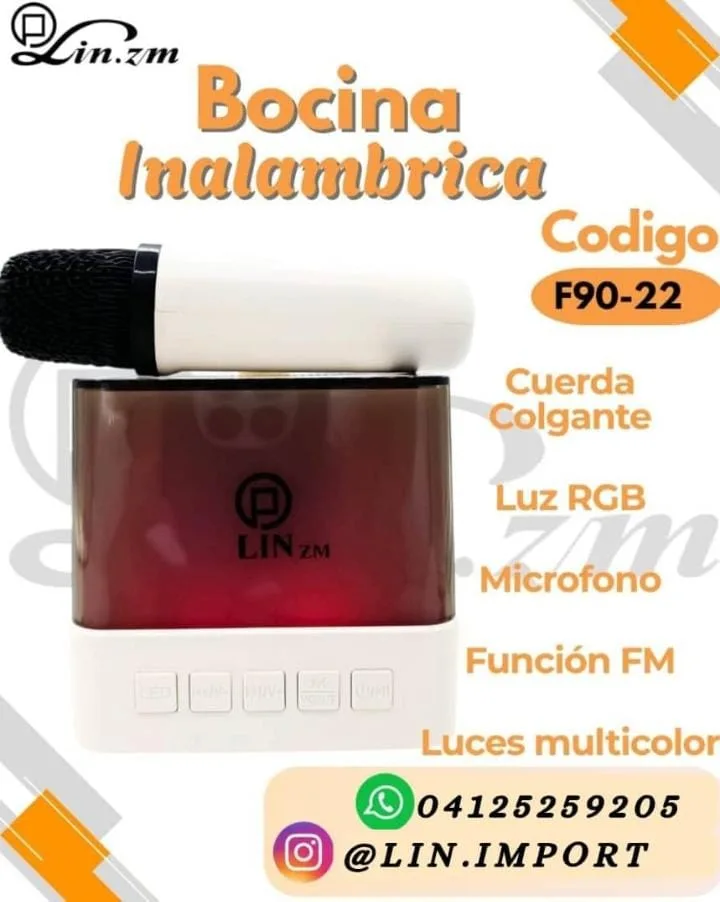 Bocina Inalambrica con Microfono BLTO X 30